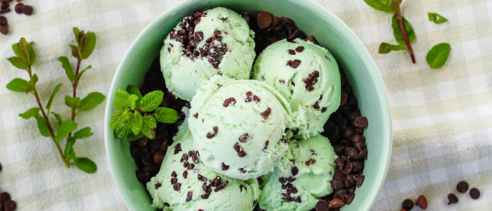 Mint Choc Chip Ice Cream 